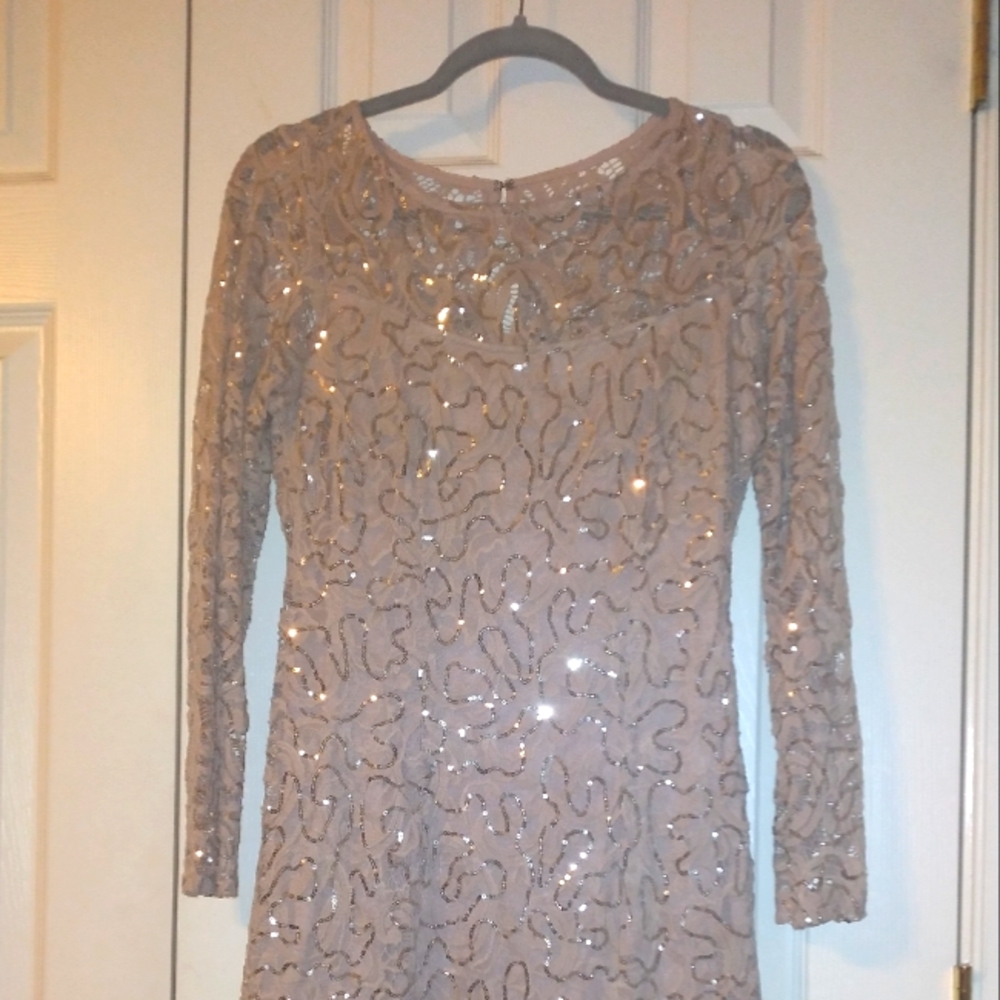 Dusty Pink color  Dress size 10 with sequins.